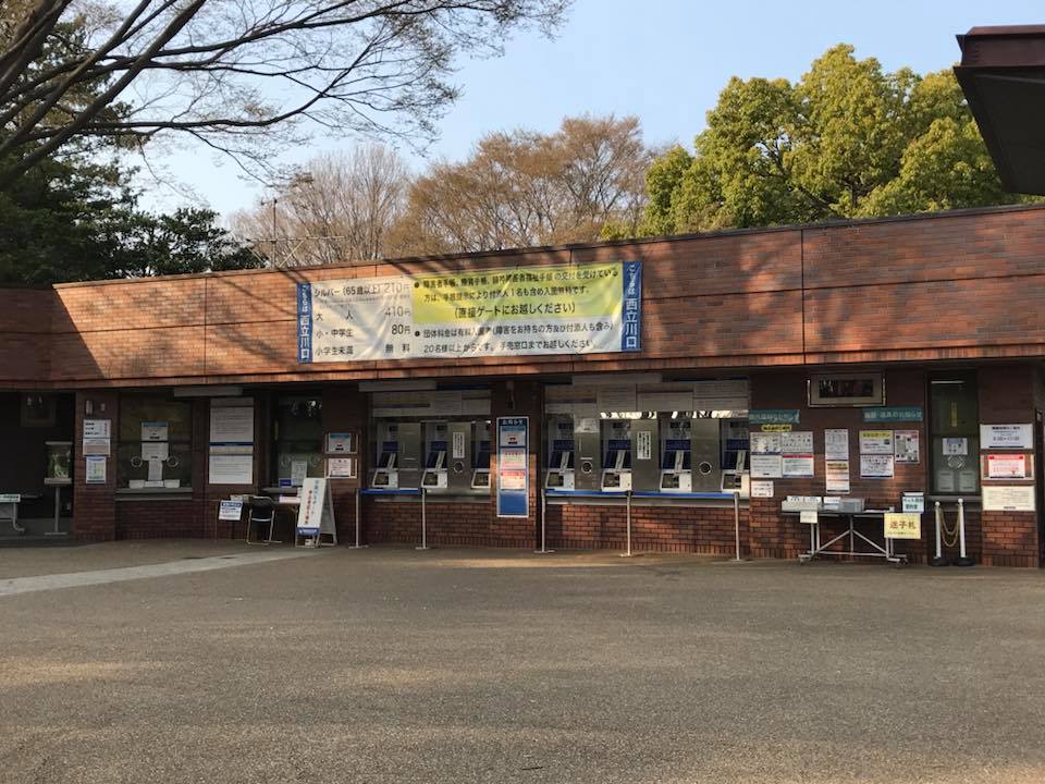 昭和記念公園の花木園エリアの桜並木が素晴らしい 初めての方はレンタサイクル利用をおすすめします Life Desigin50 ライフデザイン50